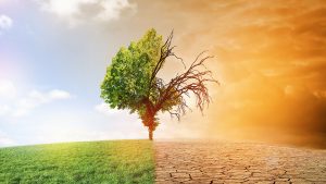 О изменении климата