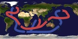 Атлантическая меридиональная опрокидывающая циркуляция или AMOC