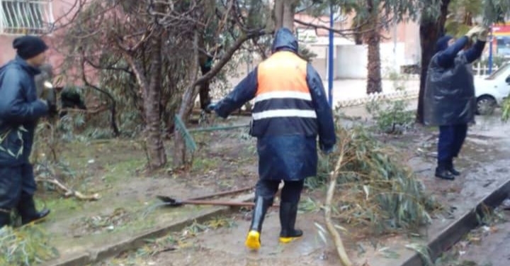 шторм в алжире 28 января 2026