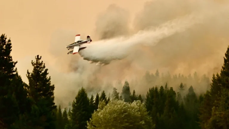 Лесные пожары в Патагонии