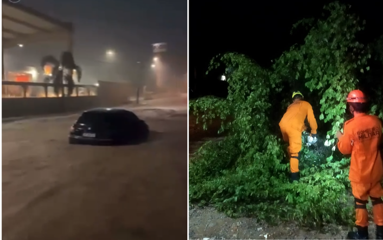 Наводнения в штате Мату-Гросу-ду-Сул. Бразилия