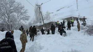 В результате схода лавин погибли люди в восточной провинции. Турция