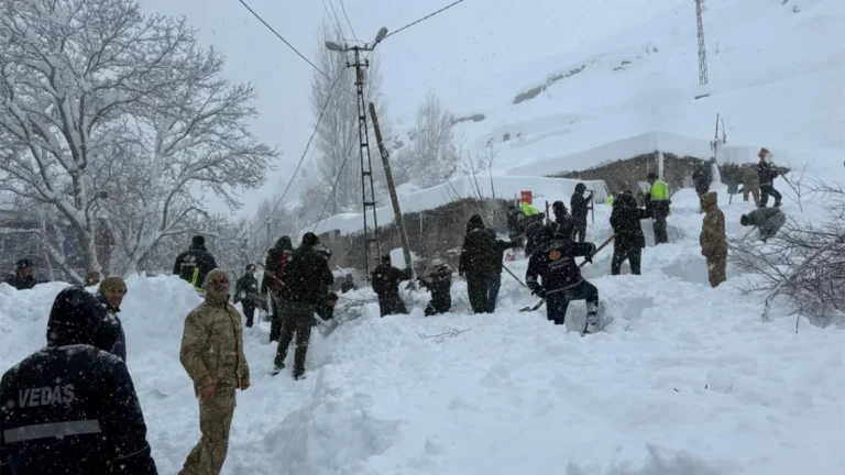 В результате схода лавин погибли люди в восточной провинции. Турция