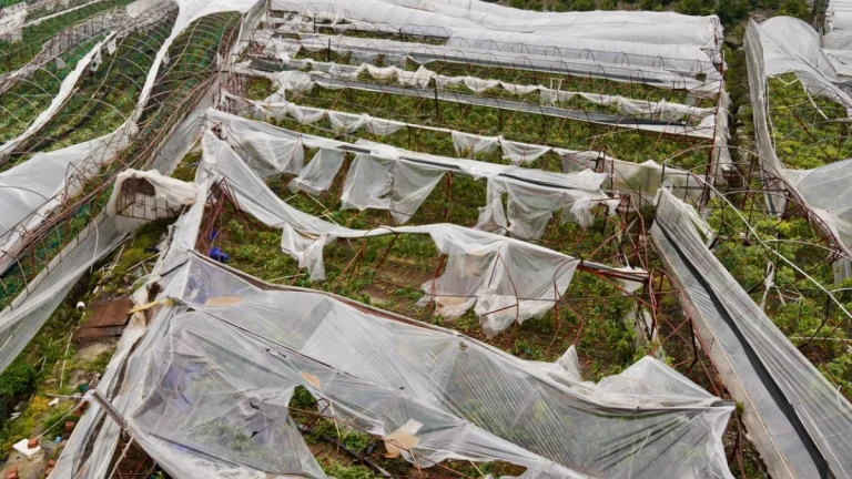 Торнадо в Анталии. Турция