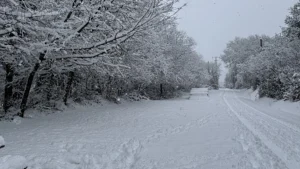 Шесть человек погибли во Франции из за сильных морозов