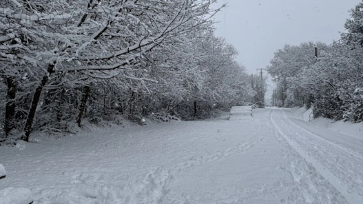 Шесть человек погибли во Франции из за сильных морозов