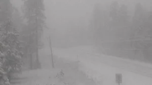 Предупреждения об экстремально низких температурах в США