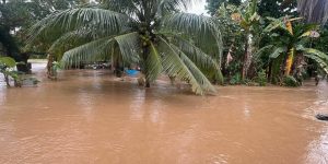 Наводнение в Тела, департамент Атлантида. Гондурас 29 января 2026