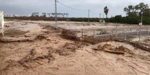 Наводнение в провинции Мерсин и Адана. Турция. 30 января 2026