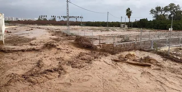 Наводнение в провинции Мерсин и Адана. Турция. 30 января 2026